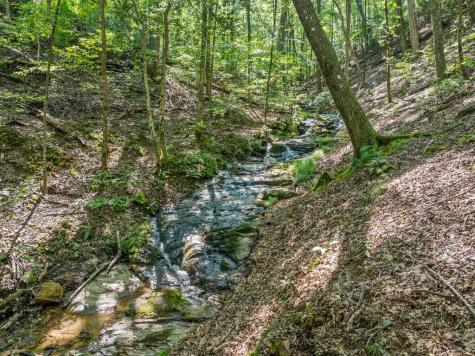 166 Walnut Mountain Court Ellijay GA 30536