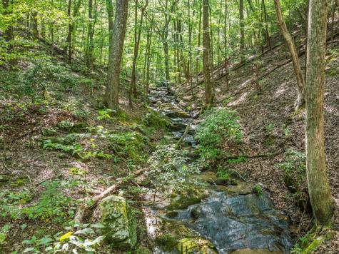 166 Walnut Mountain Court Ellijay GA 30536