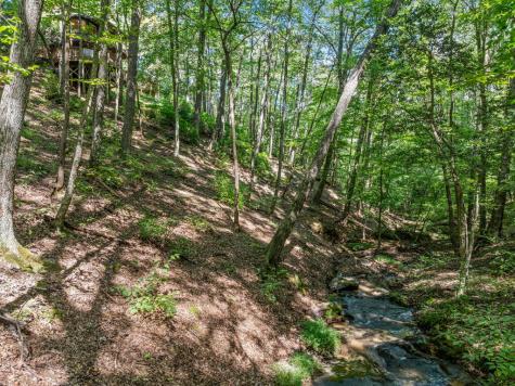 166 Walnut Mountain Court Ellijay GA 30536