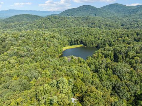 166 Walnut Mountain Court Ellijay GA 30536
