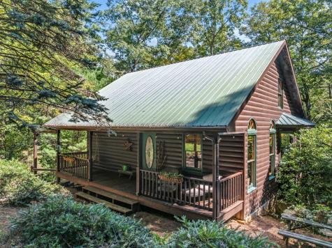 166 Walnut Mountain Court Ellijay GA 30536