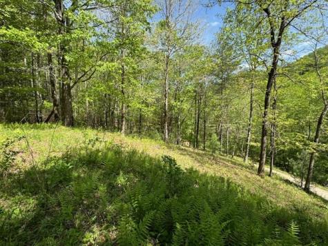 532 Poplar Cove Road Suches GA 30572