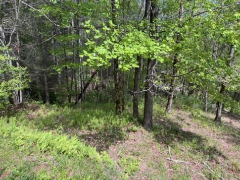 532 Poplar Cove Road Suches GA 30572