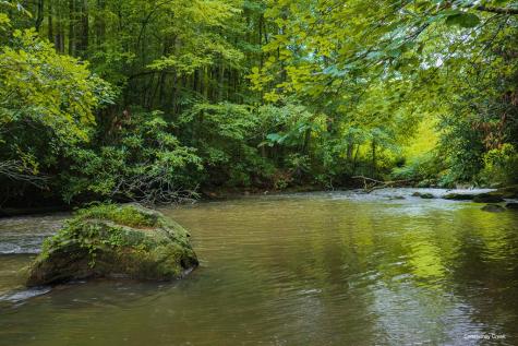196 Creek Camp Road Ellijay GA 30536