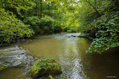 196 Creek Camp Road Ellijay GA 30536
