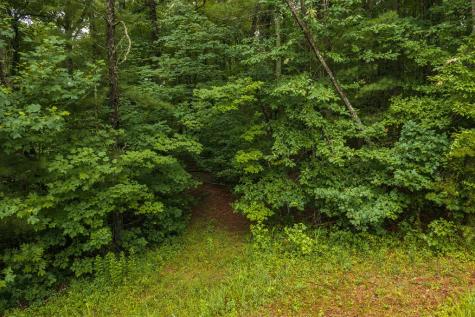 196 Creek Camp Road Ellijay GA 30536