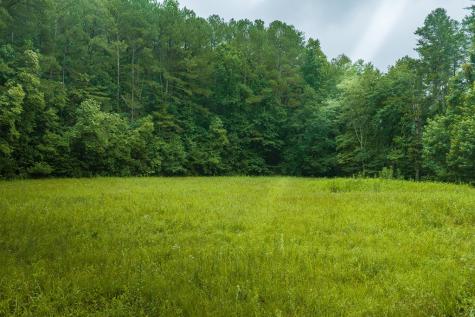 196 Creek Camp Road Ellijay GA 30536
