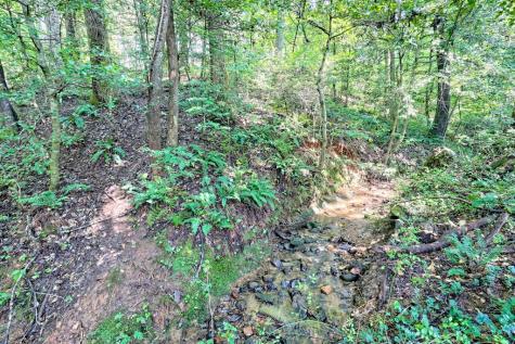 641 Cold Branch Road Hayesville NC 28904