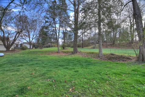 1133 E Main Street Blue Ridge GA 30513