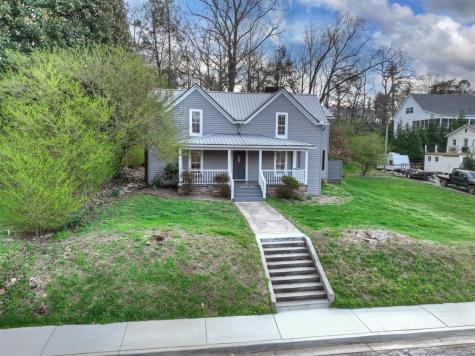 1133 E Main Street Blue Ridge GA 30513