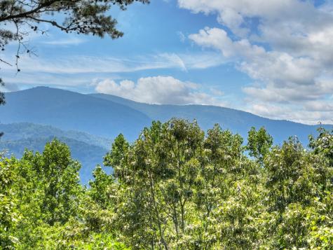 120 Foxfire Road Blue Ridge GA 30513