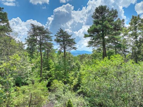 120 Foxfire Road Blue Ridge GA 30513