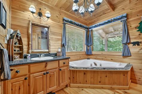 120 Foxfire Road Blue Ridge GA 30513