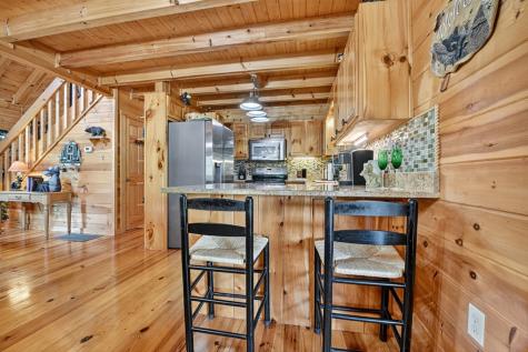 120 Foxfire Road Blue Ridge GA 30513