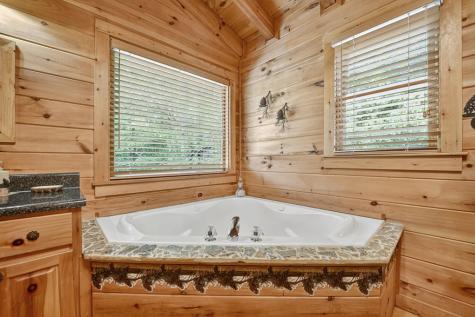 120 Foxfire Road Blue Ridge GA 30513