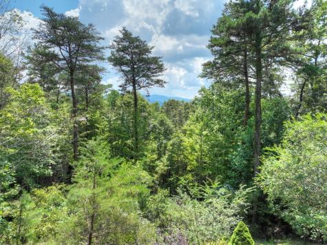 120 Foxfire Road Blue Ridge GA 30513