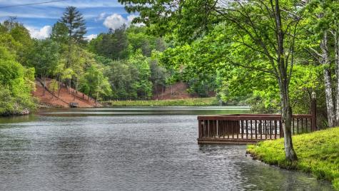 354 Kaely Drive Mineral Bluff GA 30559