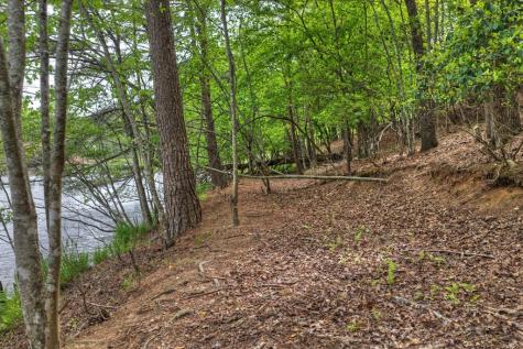 354 Kaely Drive Mineral Bluff GA 30559