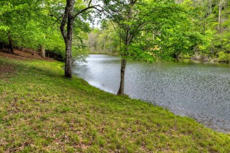 354 Kaely Drive Mineral Bluff GA 30559