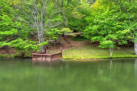 354 Kaely Drive Mineral Bluff GA 30559