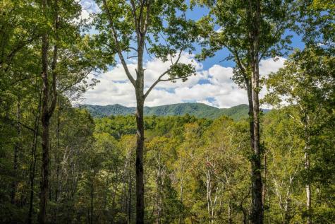808 Mill Stone Mountain Blue Ridge GA 30513