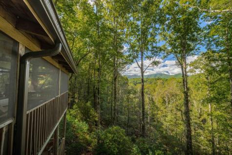 808 Mill Stone Mountain Blue Ridge GA 30513
