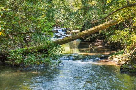 264 Lickskillet Hollow Blue Ridge GA 30513