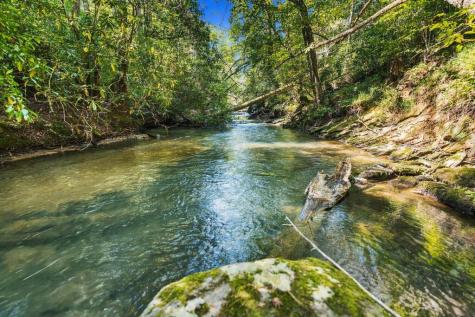 264 Lickskillet Hollow Blue Ridge GA 30513