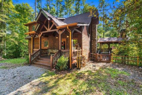 264 Lickskillet Hollow Blue Ridge GA 30513