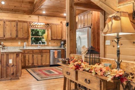 264 Lickskillet Hollow Blue Ridge GA 30513