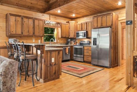 264 Lickskillet Hollow Blue Ridge GA 30513