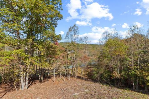 132 Coras View Blairsville GA 30512