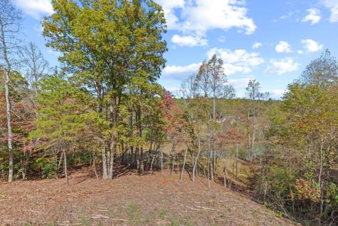 132 Coras View Blairsville GA 30512