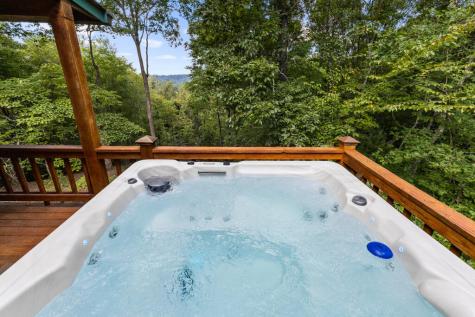 1600 My Mountain Road Morganton GA 30560