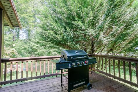 49 Dustys Hollow Road Robbinsville NC 28771