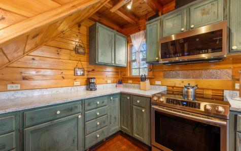 145 Carrington Farm Road Mineral Bluff GA 30559