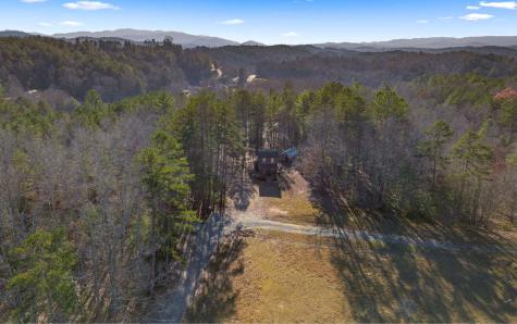 145 Carrington Farm Road Mineral Bluff GA 30559