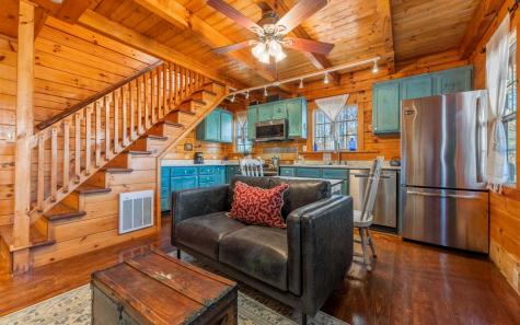 145 Carrington Farm Road Mineral Bluff GA 30559