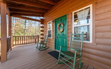145 Carrington Farm Road Mineral Bluff GA 30559
