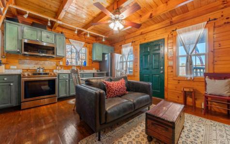 145 Carrington Farm Road Mineral Bluff GA 30559