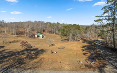 145 Carrington Farm Road Mineral Bluff GA 30559