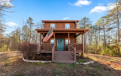 145 Carrington Farm Road Mineral Bluff GA 30559