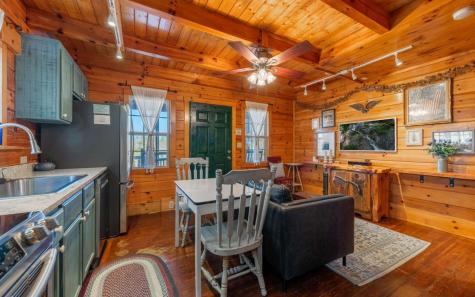 145 Carrington Farm Road Mineral Bluff GA 30559
