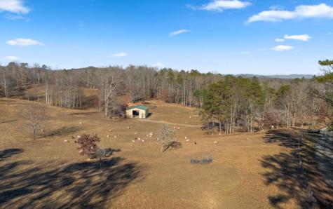 145 Carrington Farm Road Mineral Bluff GA 30559