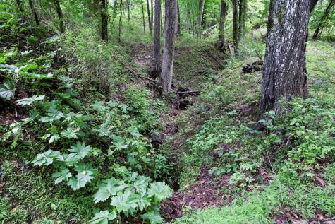 249 Chatuge Woods Drive Hayesville NC 28904