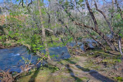 4475 Fires Creek Road Hayesville NC 28904