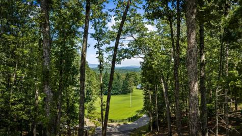 60 Oasis Drive Blue Ridge GA 30513