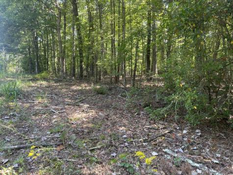 60 Oasis Drive Blue Ridge GA 30513