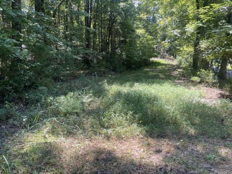 60 Oasis Drive Blue Ridge GA 30513