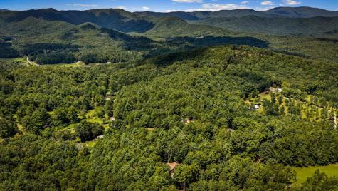 60 Oasis Drive Blue Ridge GA 30513